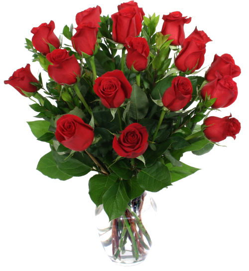 19 Red Roses