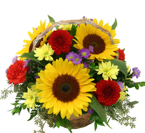 Celebration Flower Basket