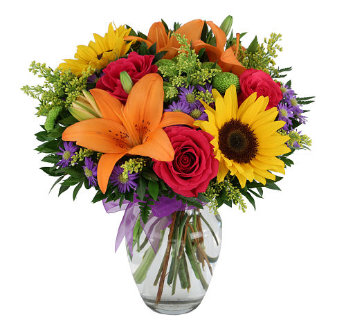 Hocus Pocus! #SUN26AA · Sunflowers