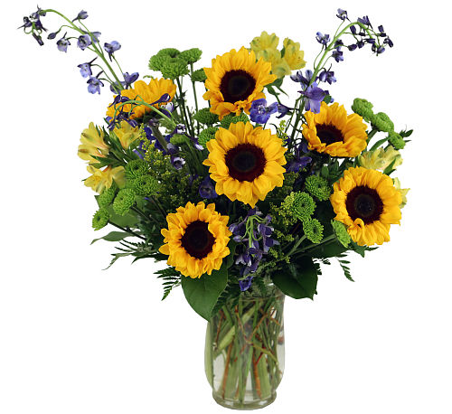 premium flowers
