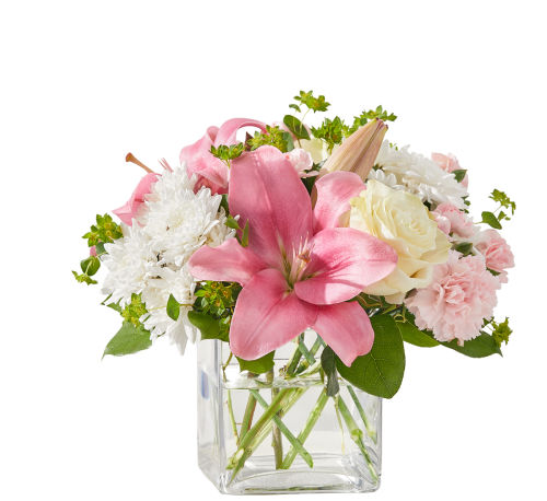 standard flowers