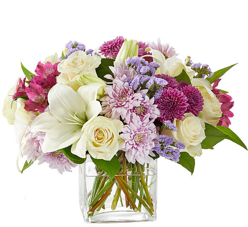 premium flowers