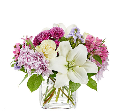 standard flowers