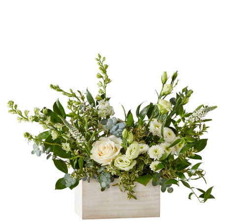 standard flowers