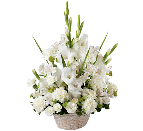 premium flowers