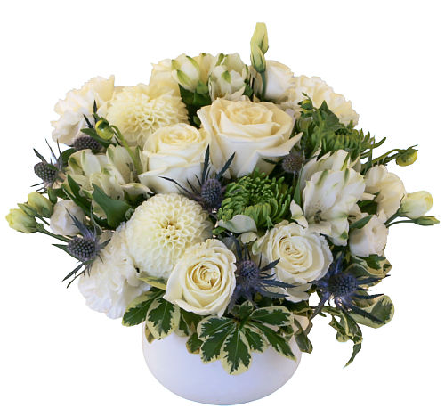 premium flowers