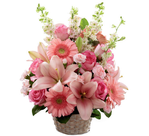 premium flowers