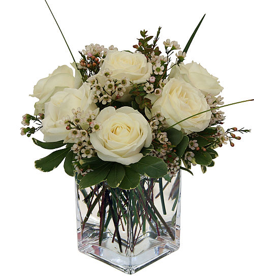 Contemporary Roses Canada Flowers | Contemporary Roses #SB6AA