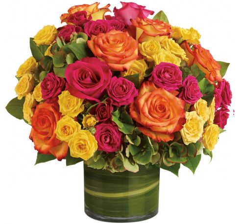 premium flowers