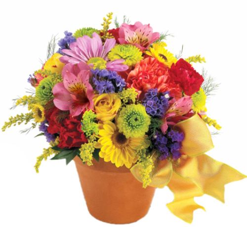 Teleflora's Fresh Blossom Potpourri