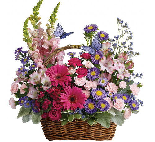 premium flowers