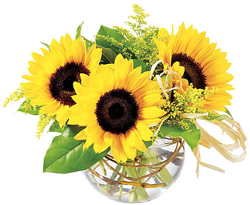 Teleflora's Sassy Sunflowers Bouquet