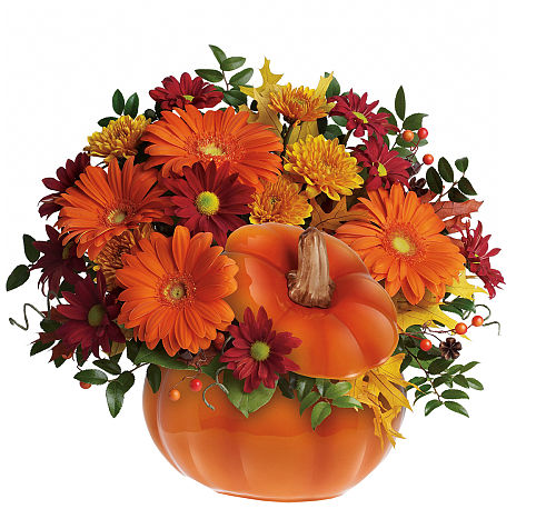 Teleflora's Country Pumpkin