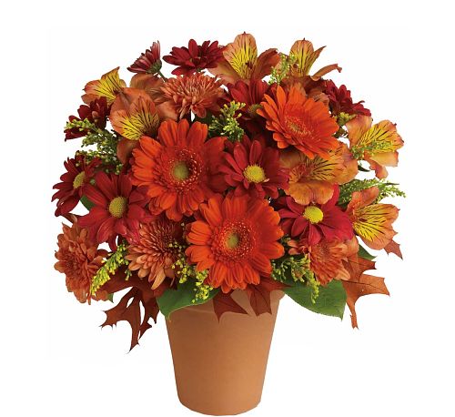 Teleflora's Golden Glow