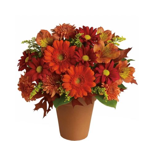 standard flowers