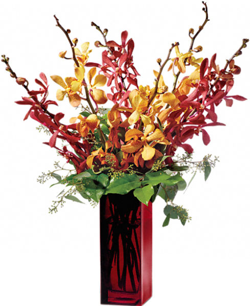 Teleflora's Orchid Splendour