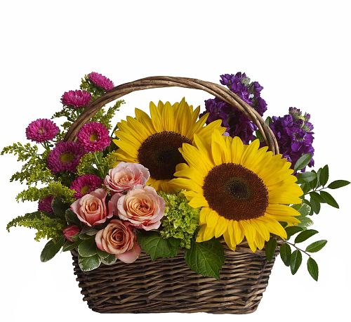 Teleflora's Picnic in the Park
