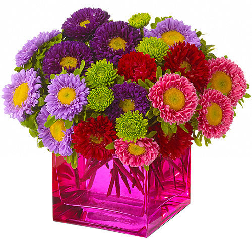 Teleflora's Mad about Magenta Bouquet