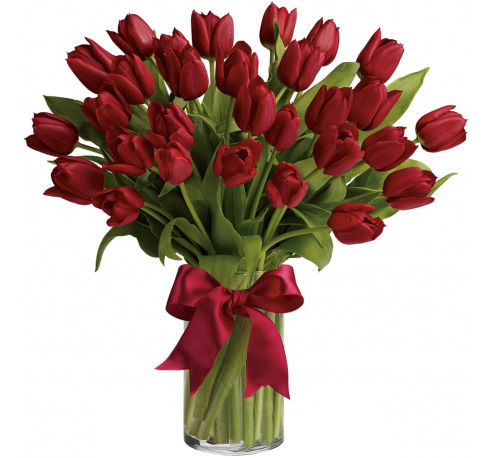 premium flowers