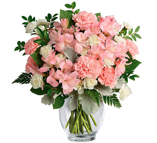 premium flowers