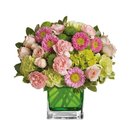 standard flowers