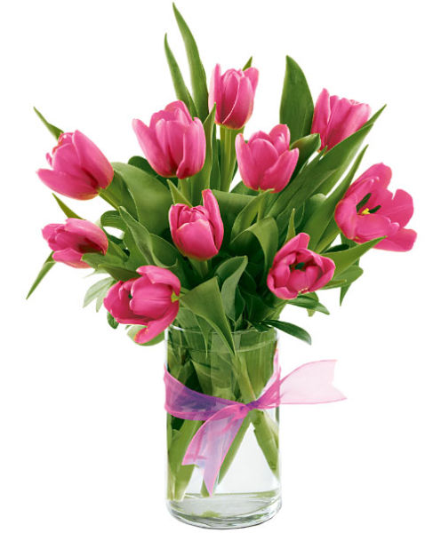 Teleflora's Pink Tulips Bouquet