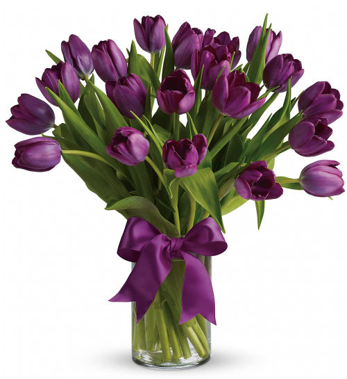 Teleflora's Passionate Purple Tulips