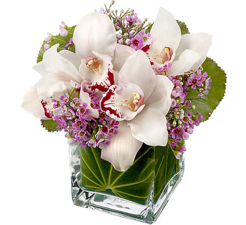 Teleflora's Lovely Orchids Bouquet