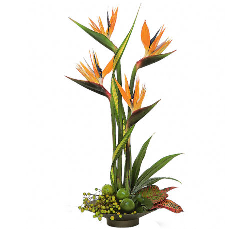 Teleflora's Memories of Paradise
