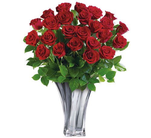 premium flowers