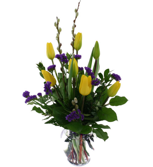 Honey Tulips