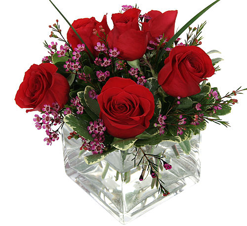 Modern Red Roses