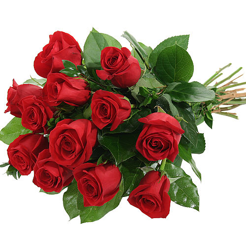 Red Rose Bouquet