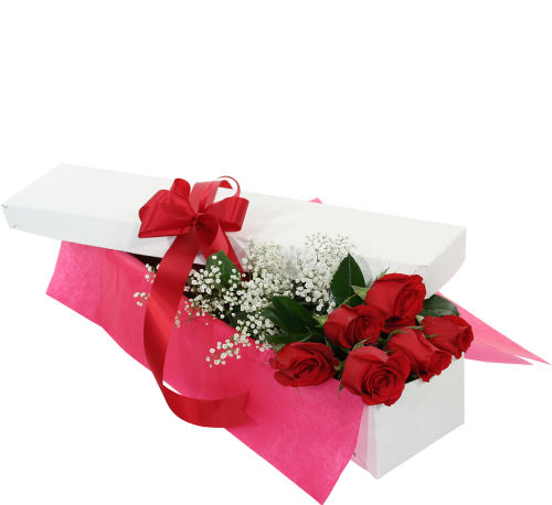 Six Red Roses