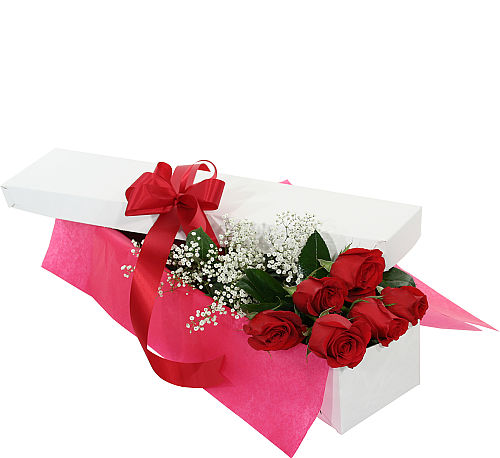 Six Red Roses, Boxed