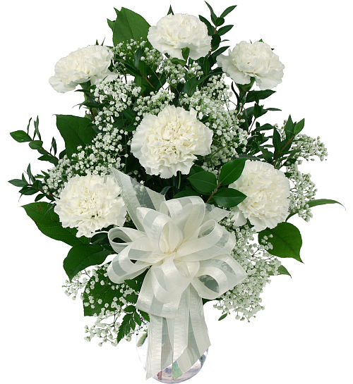 6 White Carnations