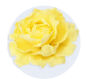 Peony